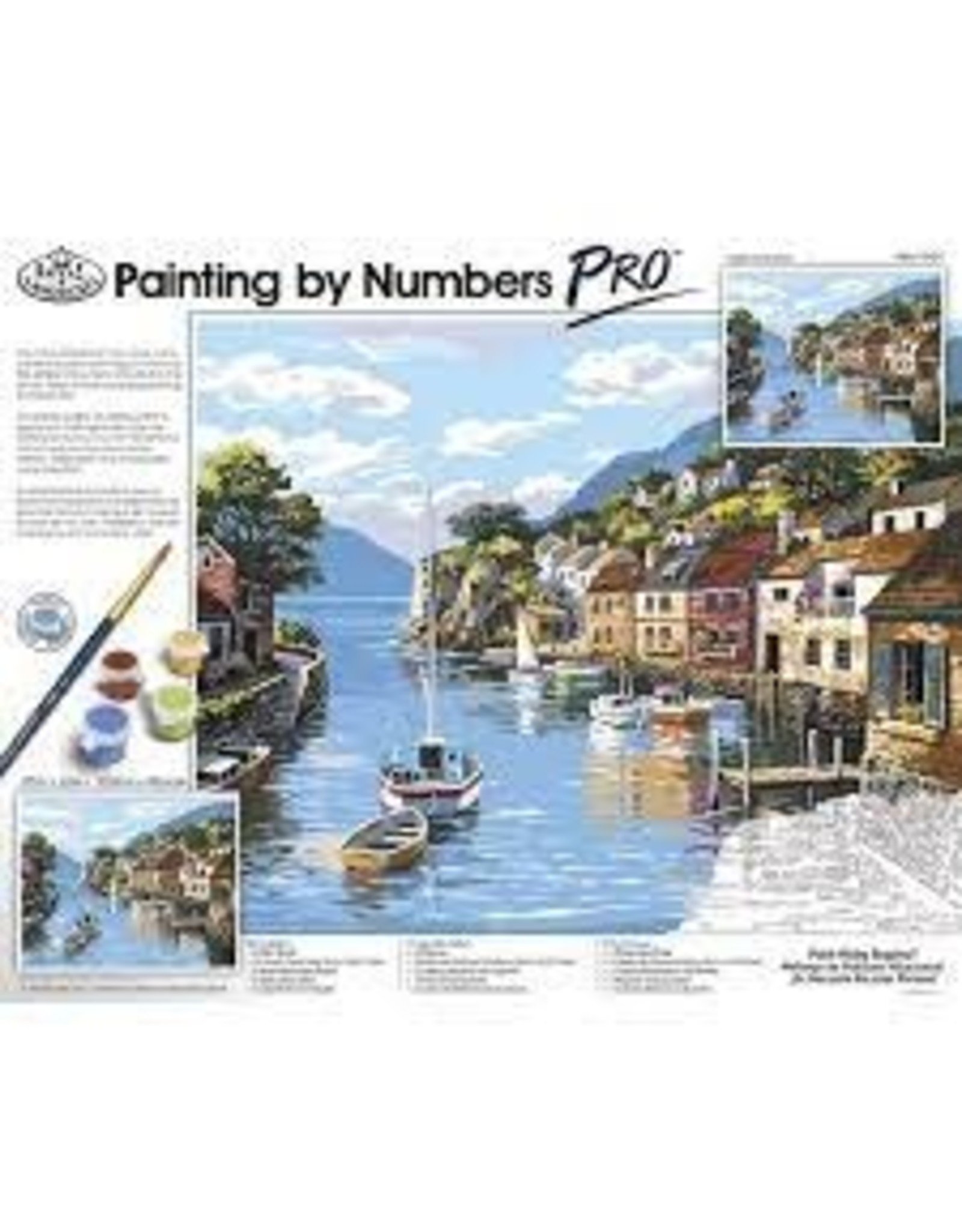 Pro Paint by Numbers