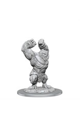 WizKids DND Unpainted Minis Wave 21