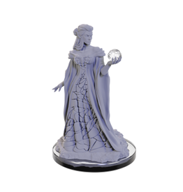 WizKids Critical Role Unpainted Minis Wave 5 Xhorhasian Mage/Prowler