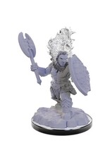 Wizards of the Coast Copy of DND Unpainted Minis Wave 22 -