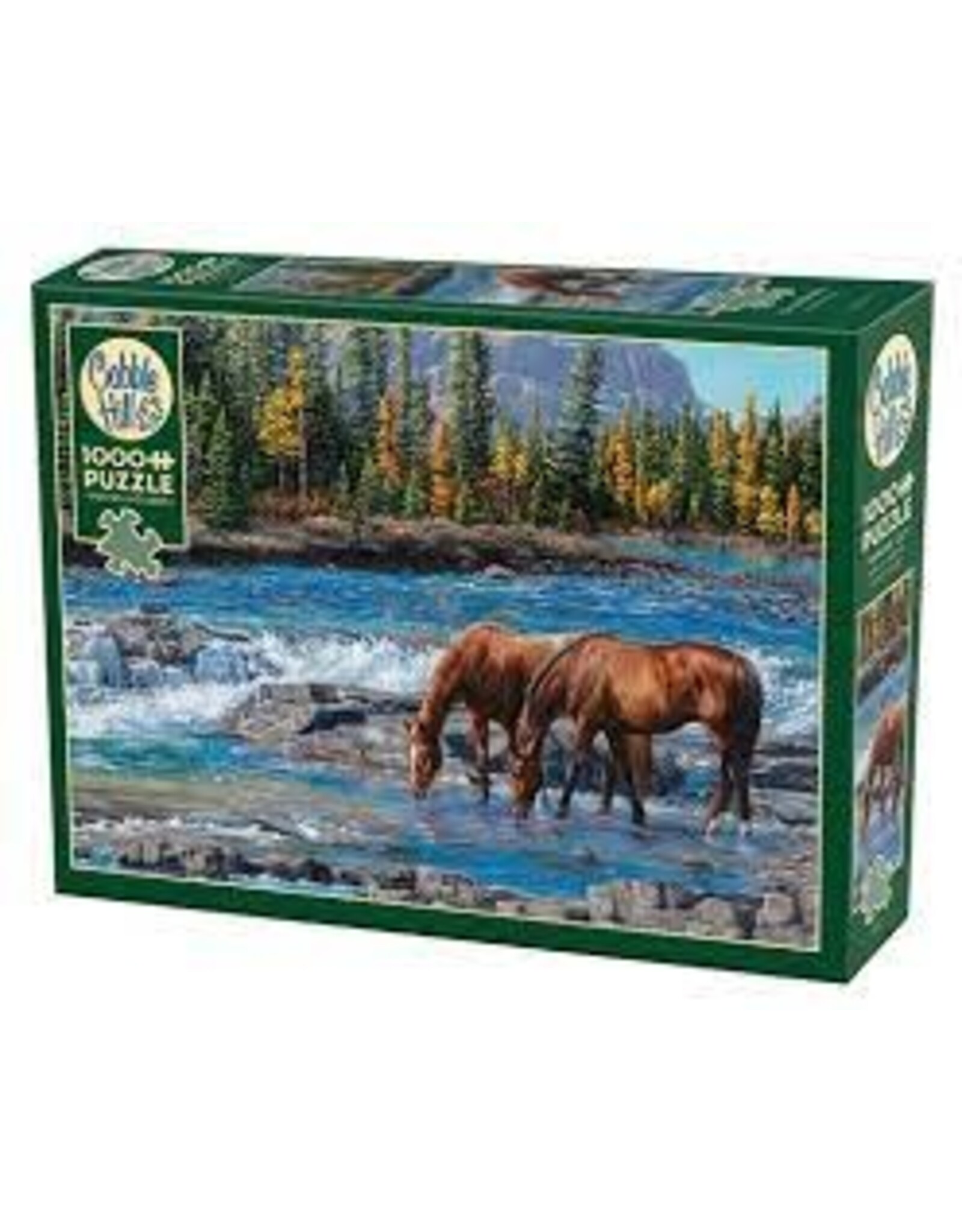 Cobble Hill Cobble Hill Puzzle: On the Rocks (1000 PCS)