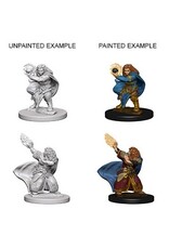 WizKids DND Unpainted Minis (Waves 1-10)