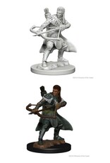 WizKids DND Unpainted Minis (Waves 1-10)