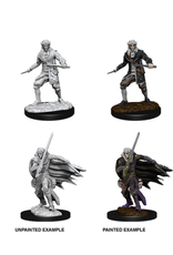 Paizo Pathfinder Unpainted Minis Wave 1-10