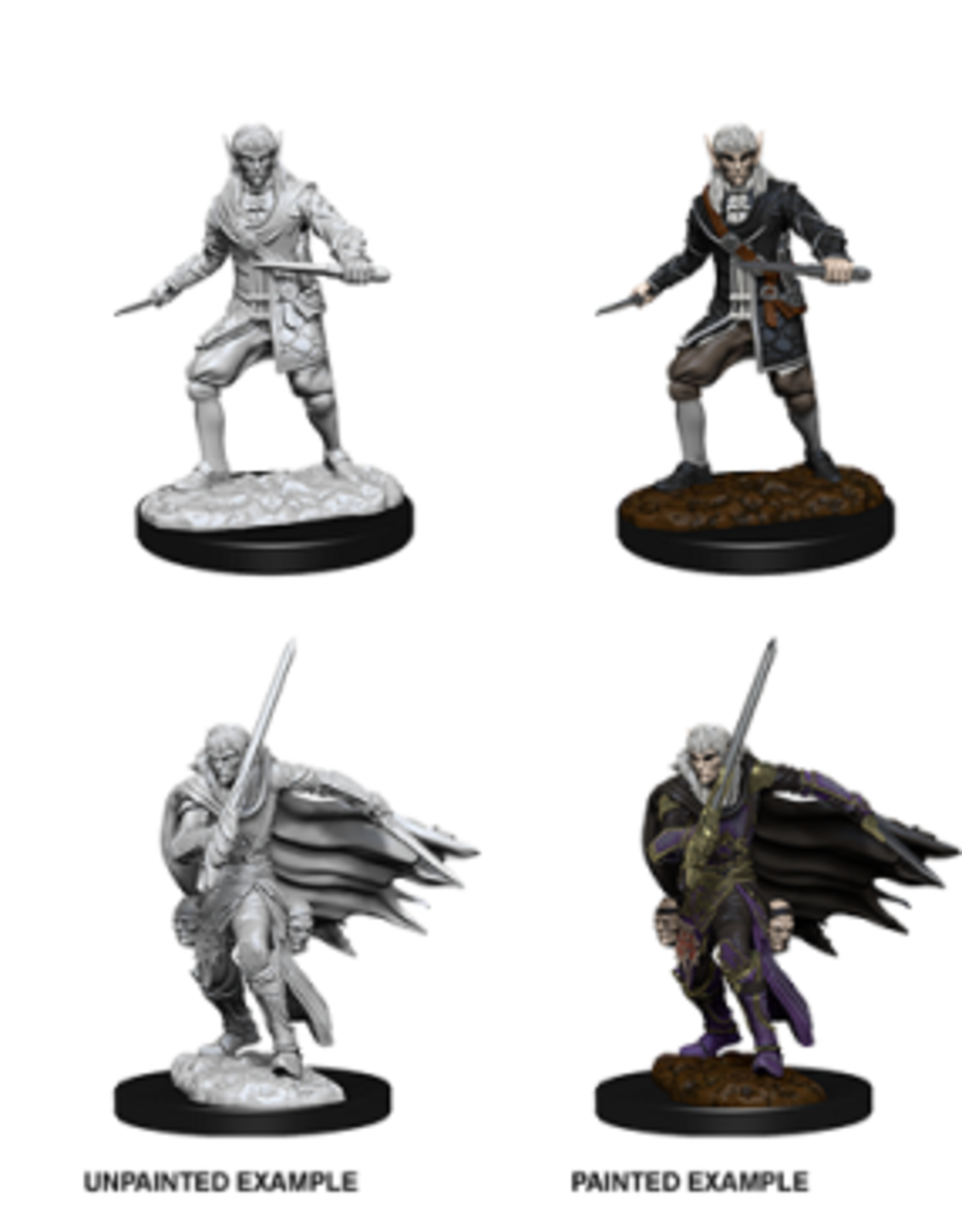 Paizo Pathfinder Unpainted Minis Wave 1-10