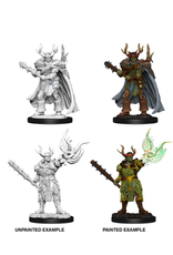 Paizo Pathfinder Unpainted Minis Wave 1-10