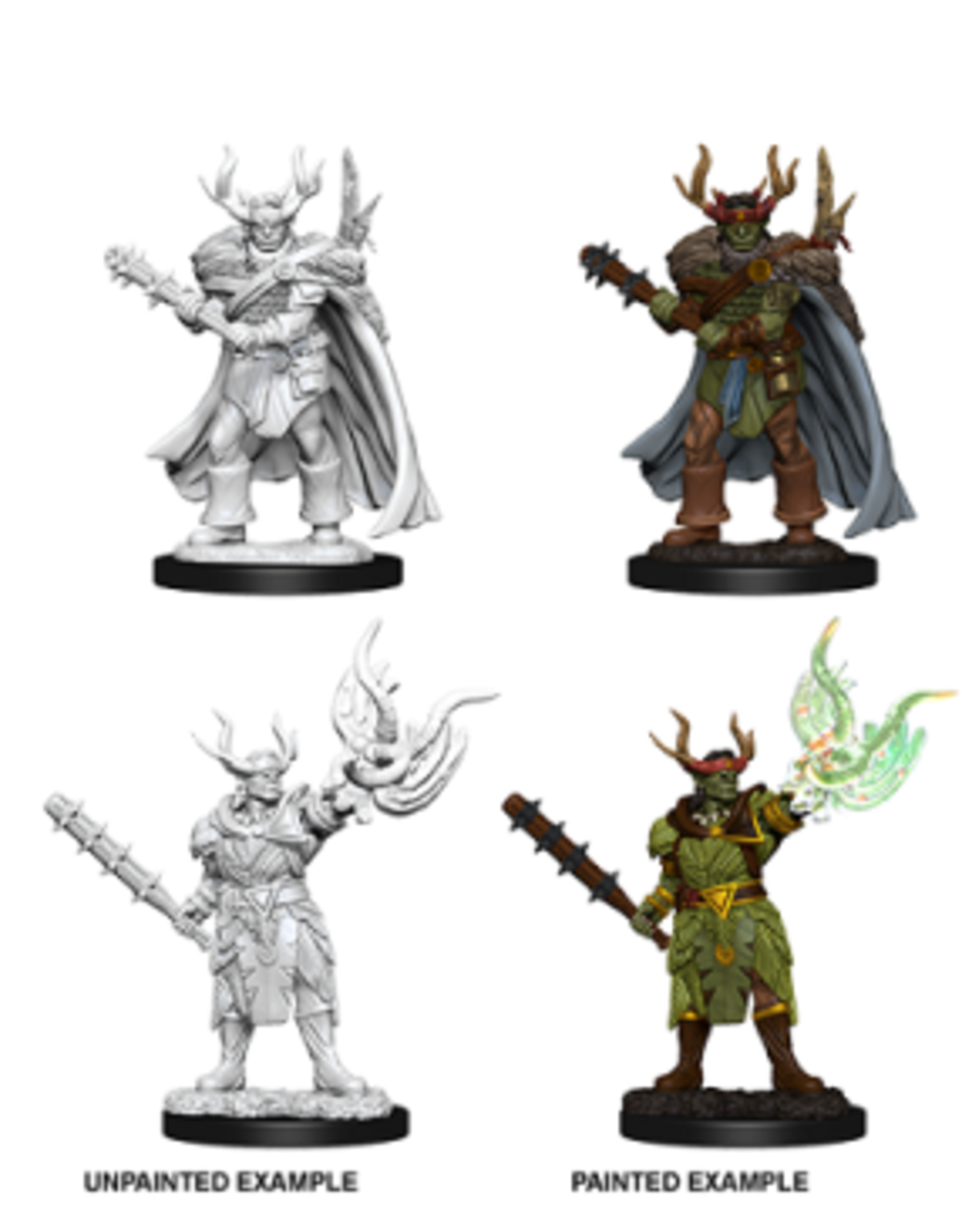 Paizo Pathfinder Unpainted Minis Wave 1-10