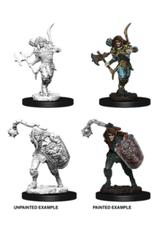 Paizo Pathfinder Unpainted Minis Wave 1-10