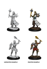 WizKids DND Unpainted Minis (Waves 1-10)