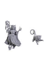 WizKids Critical Role Minis Wave 23