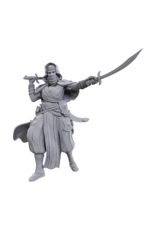 WizKids Pathfinder Minis Wave 23