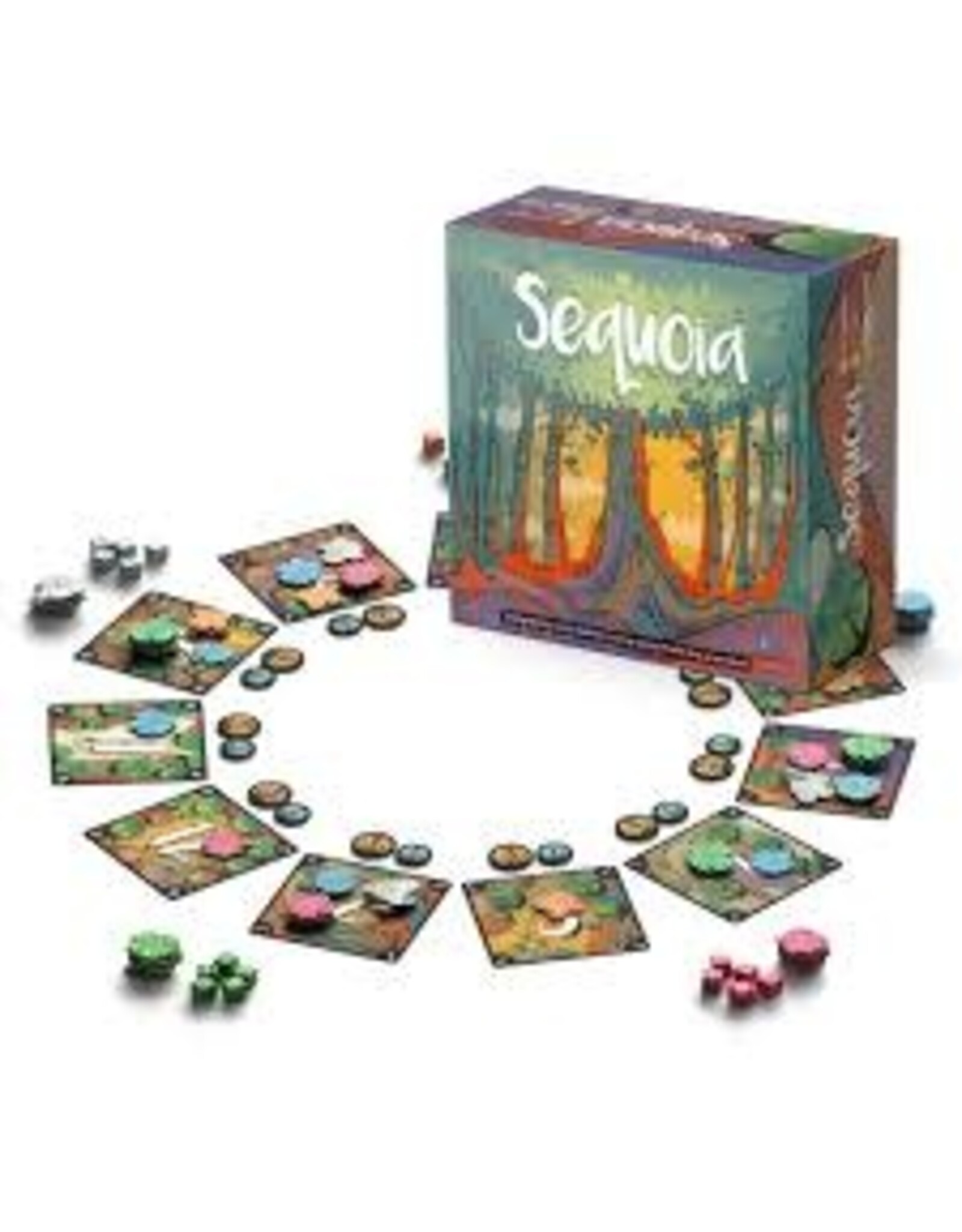 Sequoia