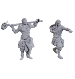 WizKids Dnd Unpainted Minis Wv24 Archdruid & Martial Arts Adept
