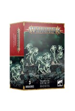 Games Workshop Warhammer Age of Sigmar - Nighthaunt - Spirit Hosts
