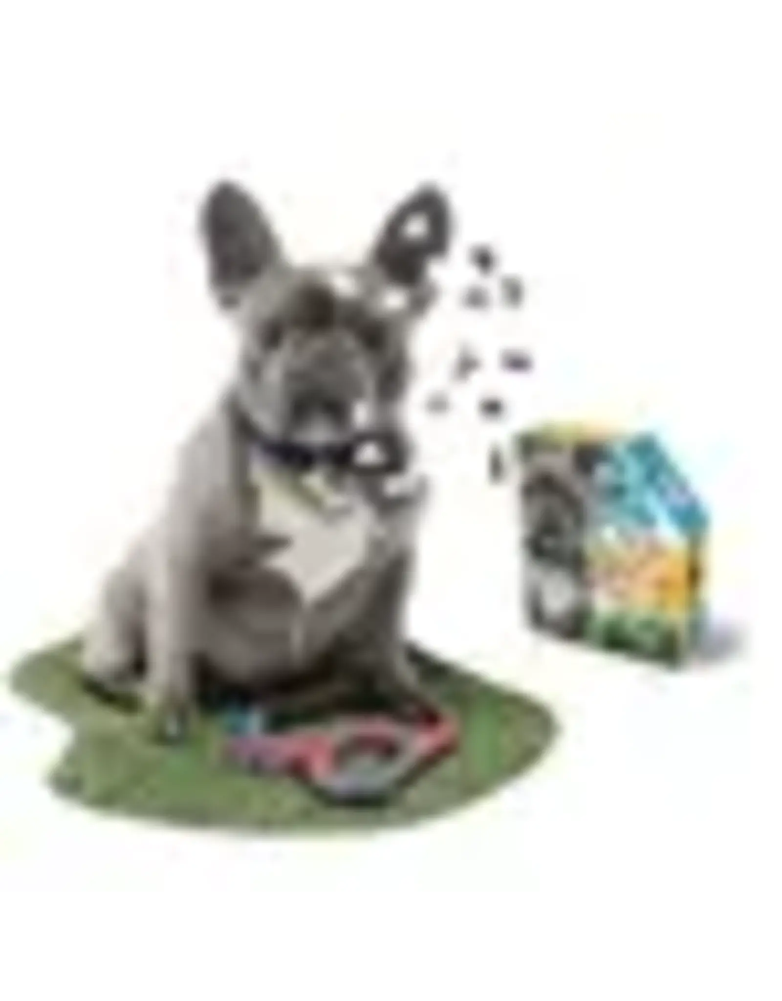Cobble Hill Madd Capp Puzzle: I AM Frenchie (550PC)