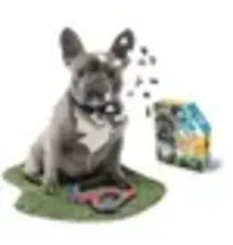 Cobble Hill Madd Capp Puzzle: I AM Frenchie (550PC)