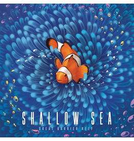 Shallow Sea