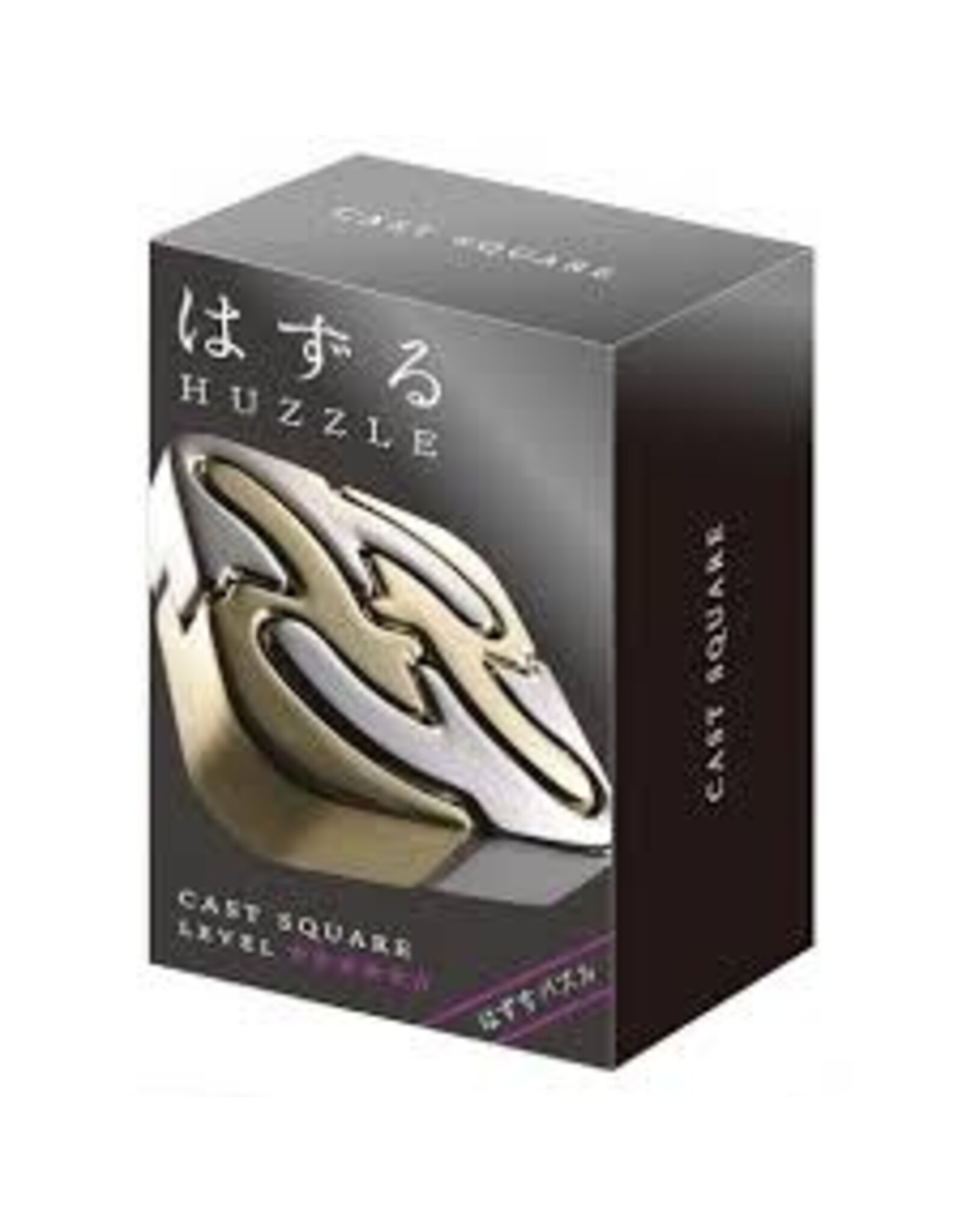 Hanayama Huzzle Cast Metal Puzzle Difficulty 5/6