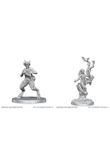 DND Unpainted Minis Wave 28 -