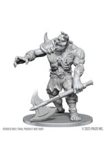 WizKids Pathfinder Unpainted Minis Wave 28