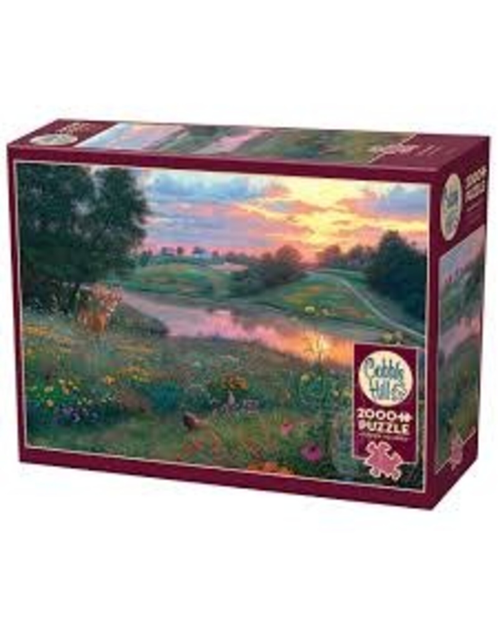 Cobble Hill Cobble Hill Puzzle The Gloaming (2000PC)