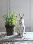Ceramic Rabbit, Distressed