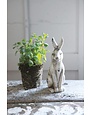 Ceramic Rabbit, Distressed