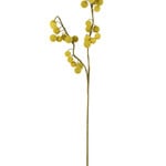 Botanica #2442