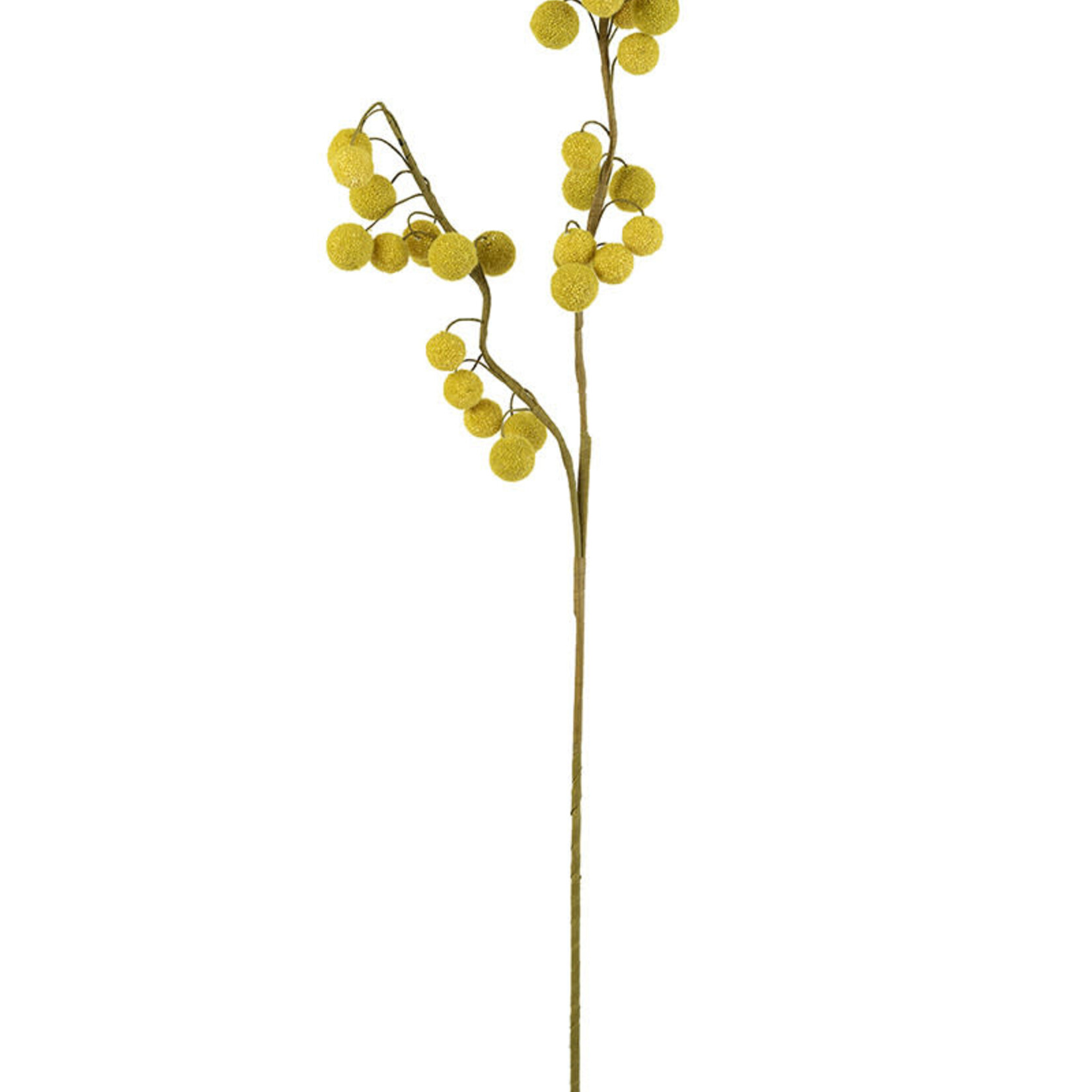 Botanica #2442
