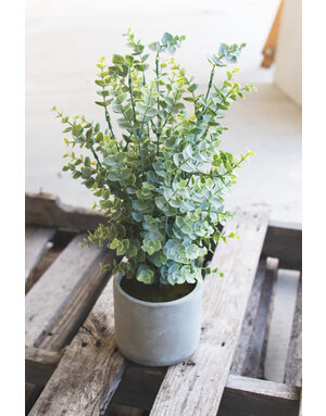 Artificial Boxwood in Cement Pot