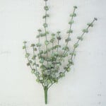 Succulent Bush