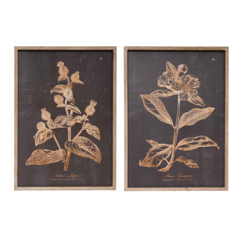 Botanical Print, Charcoal Wood Wall Decor with 19.5x28, Available for local pick up