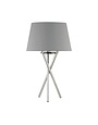 Excelsius Table Lamp, 19", Available for local pick up
