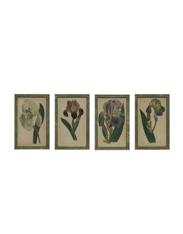 Purple & Green Color Story. Wood Framed Vintage Iris, 13.5x21, Available for local pick up