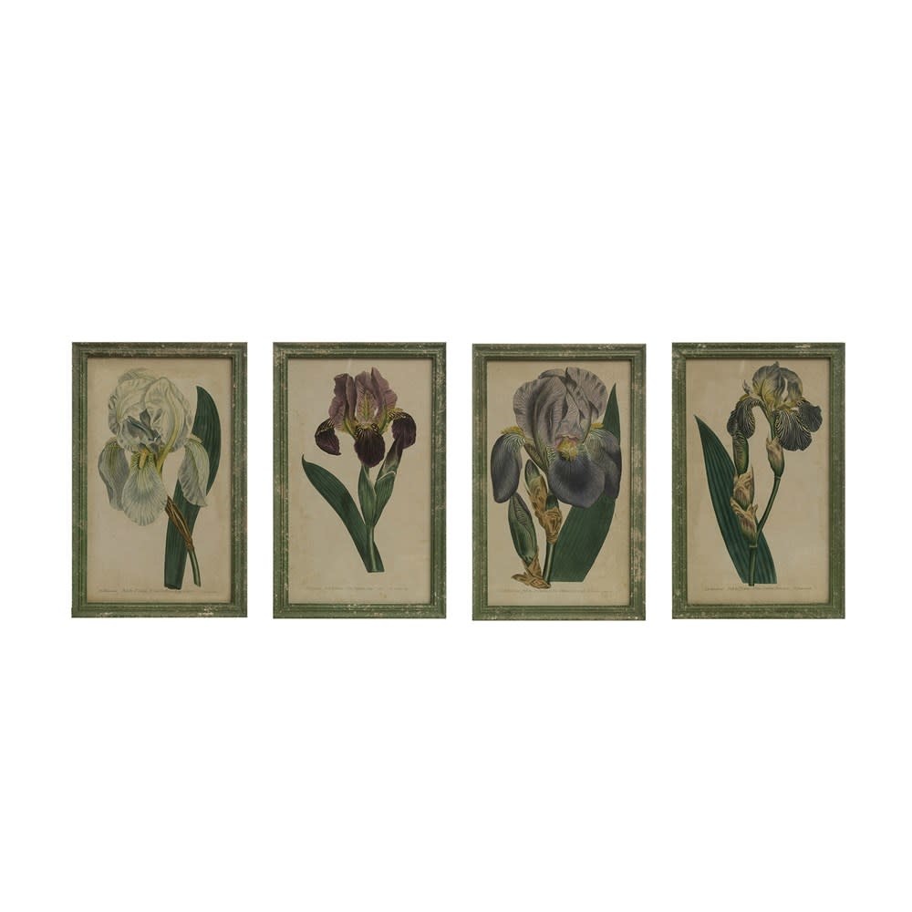 Purple & Green Color Story. Wood Framed Vintage Iris, 13.5x21, Available for local pick up