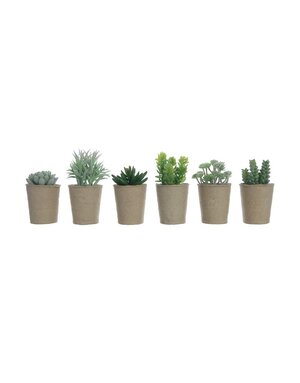 Faux Succulent in Paper Pot, 6 Styles, Priced individually