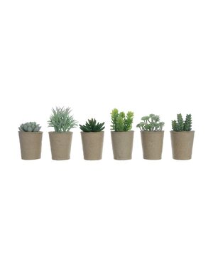 Faux Succulent in Paper Pot, 6 Styles, Priced separately