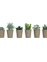 Faux Succulent in Paper Pot, 6 Styles, Priced individually