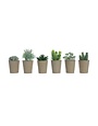 Faux Succulent in Paper Pot, 6 Styles, Priced separately