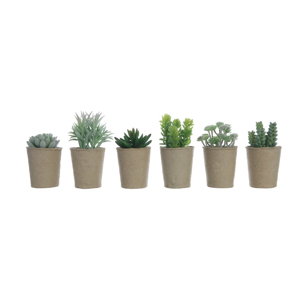 Faux Succulent in Paper Pot, 6 Styles, Priced individually