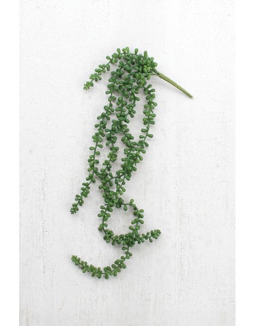 Artificial Necklace Fern Succulent