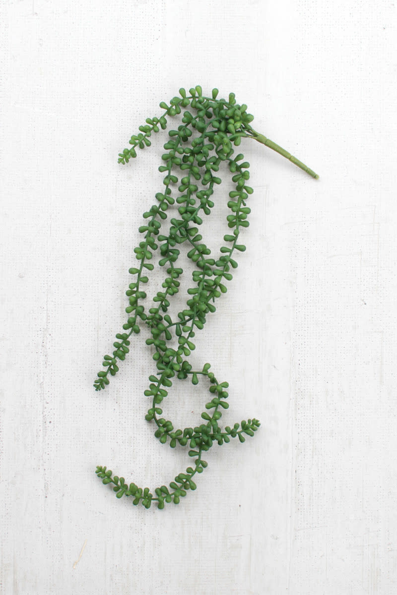 Artificial Necklace Fern Succulent