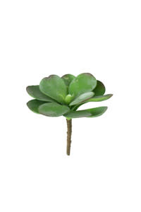 Artificial Paddle Plant