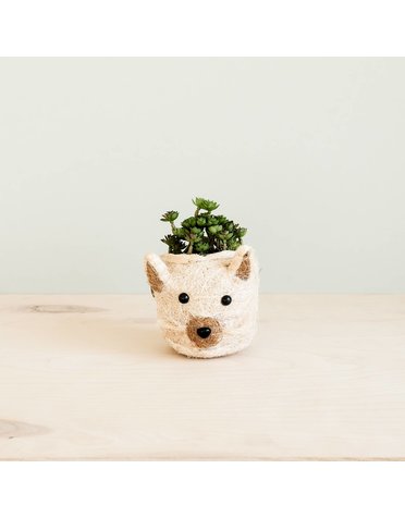 Mini Pot Cat Planter, Available for local pick up