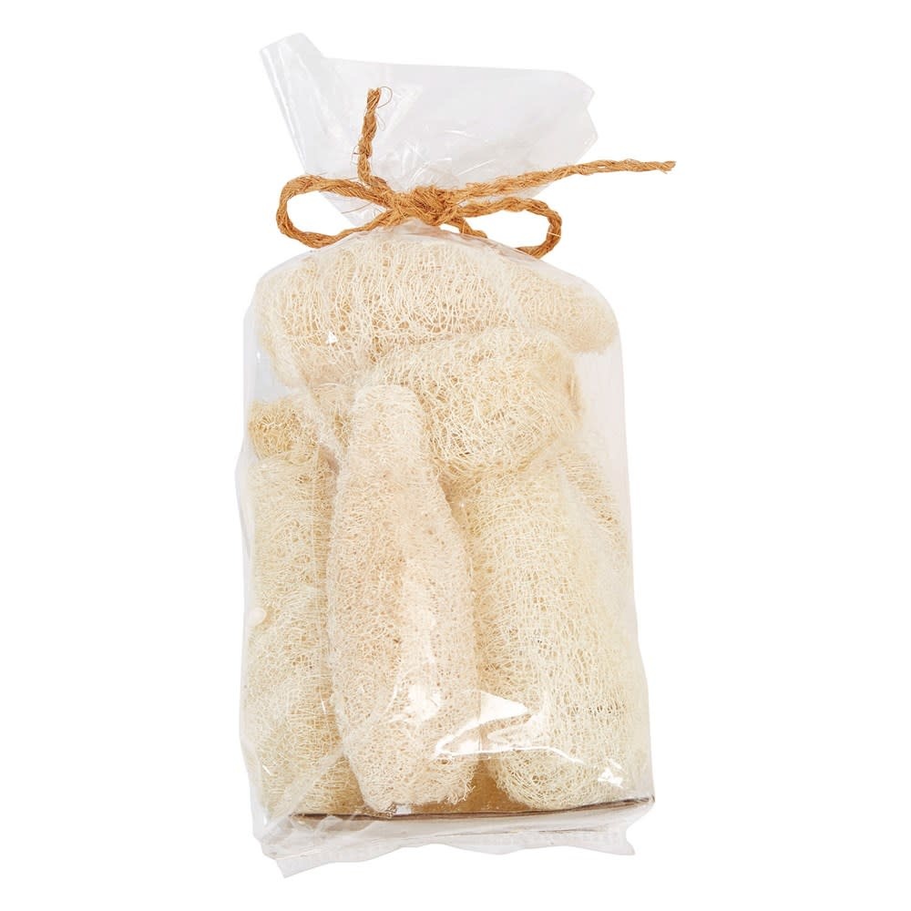 Dried Natural Sponge Gourd in Bag, Bleached (Contains 7 Pieces)