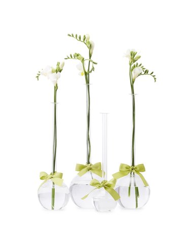 Sleek & Chic  Bubbles Vases XL (Include Green Ribbon), Available for local pick up