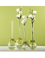 Sleek & Chic  Bubbles Vases XL (Include Green Ribbon), Available for local pick up