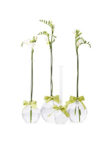 Sleek & Chic Bubbles Vase LG  (Include Green Ribbon), Available for local pick up
