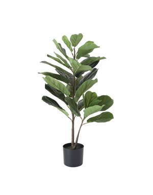 Faux Fiddle Fig Leaf Plant in Pot, Available for local pick up