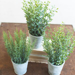 Artificial Herbs in Cement Pots, Assorted Styles, Priced Individually